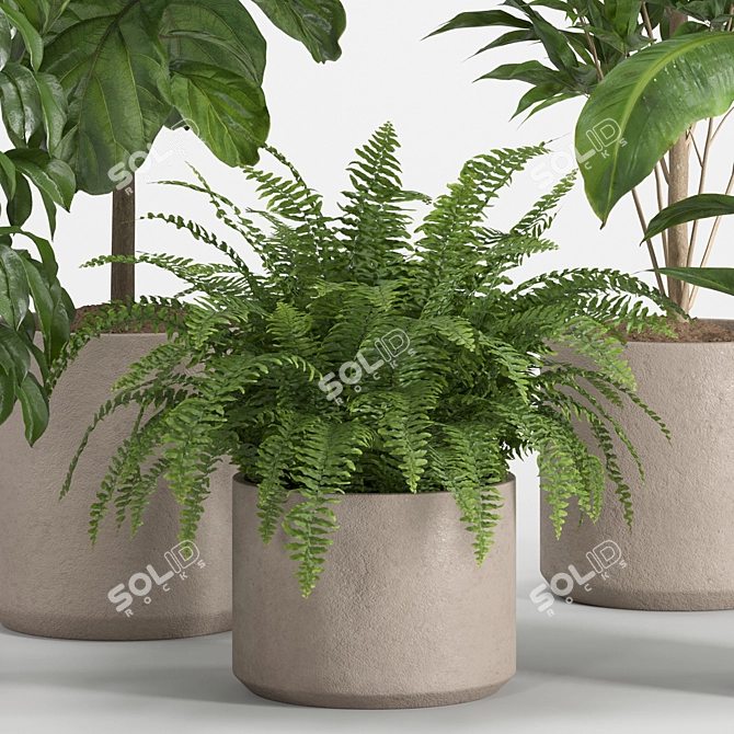 Lush Indoor Plant Set 016 3D model image 6