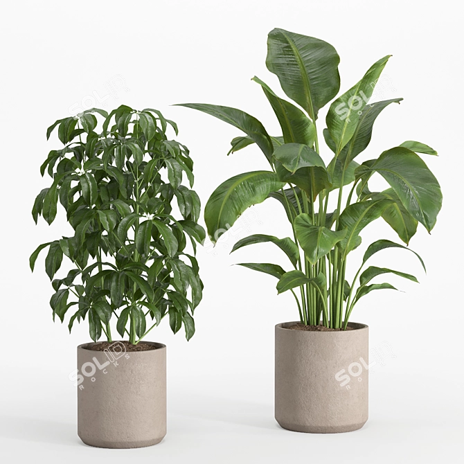 Lush Indoor Plant Set 016 3D model image 7