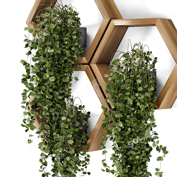  Hanging Indoor Plants: Concrete Pot on Wooden Shelve 3D model image 2