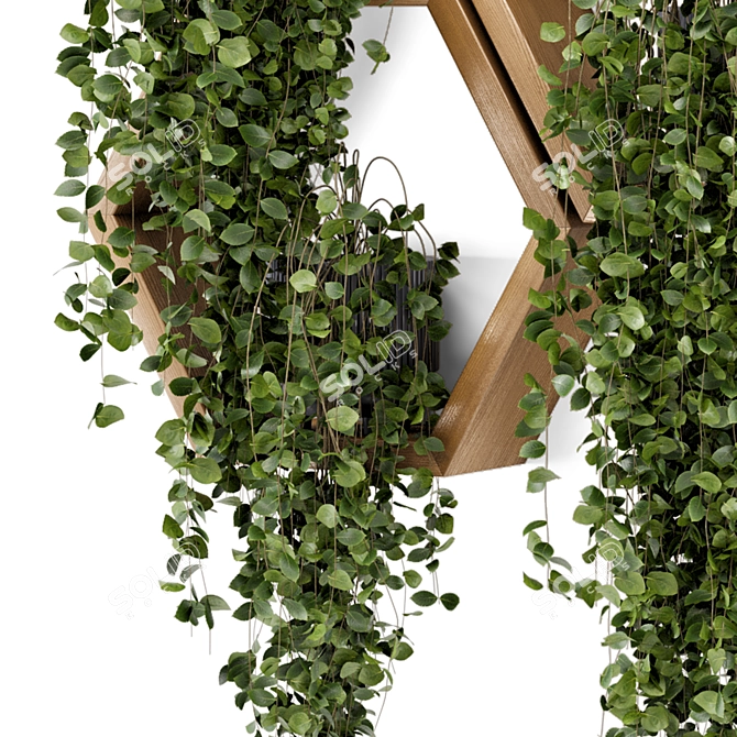  Hanging Indoor Plants: Concrete Pot on Wooden Shelve 3D model image 5