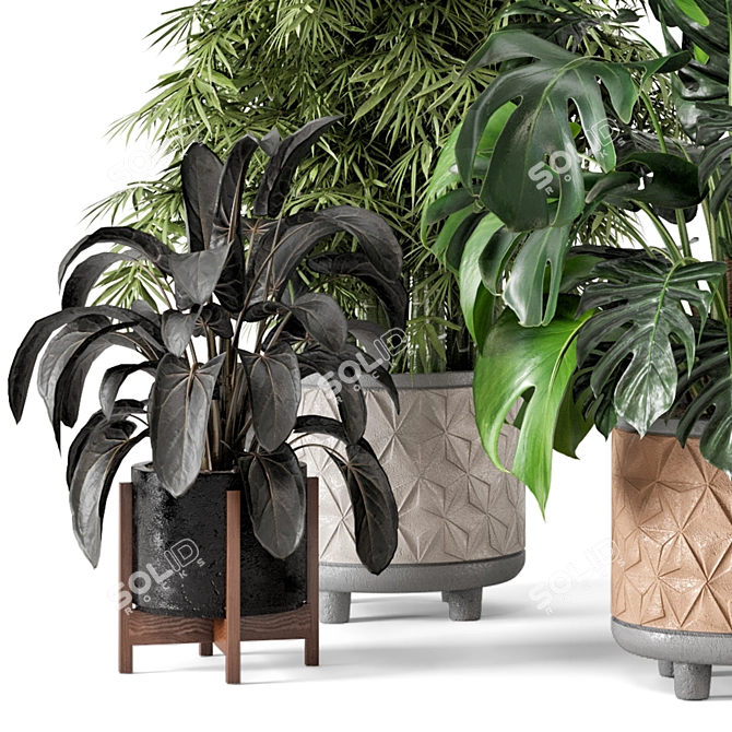 Rustic Concrete Pot Set with Indoor Plants 3D model image 2