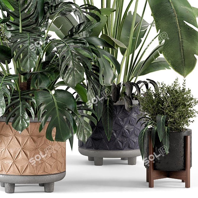 Rustic Concrete Pot Set with Indoor Plants 3D model image 3