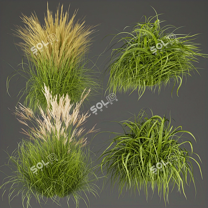 Grass Collection - High-Quality Outdoor Leaf Models 3D model image 1