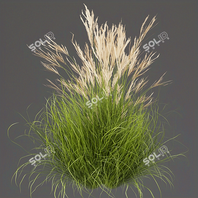 Grass Collection - High-Quality Outdoor Leaf Models 3D model image 3