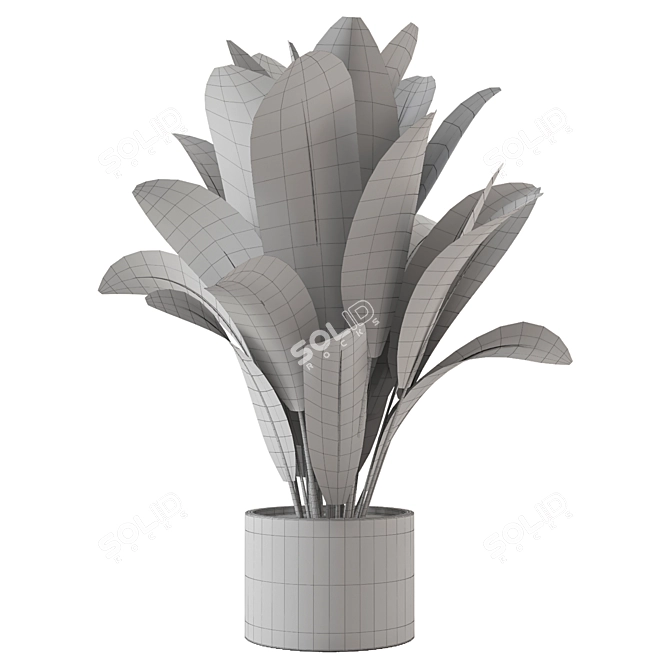  Lush Greens Indoor Plants Set 3D model image 4