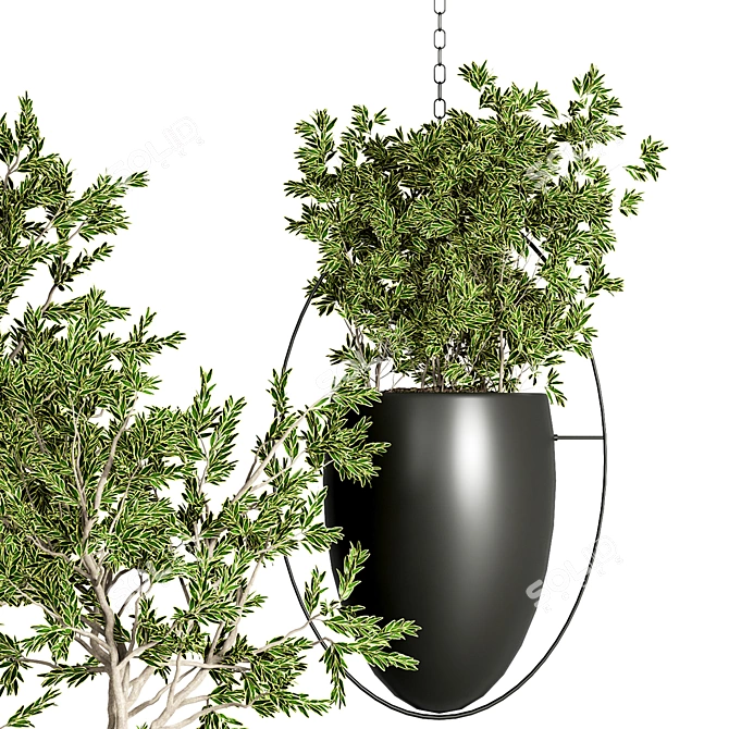 Indoor Plant Collection: 48 Varieties 3D model image 2