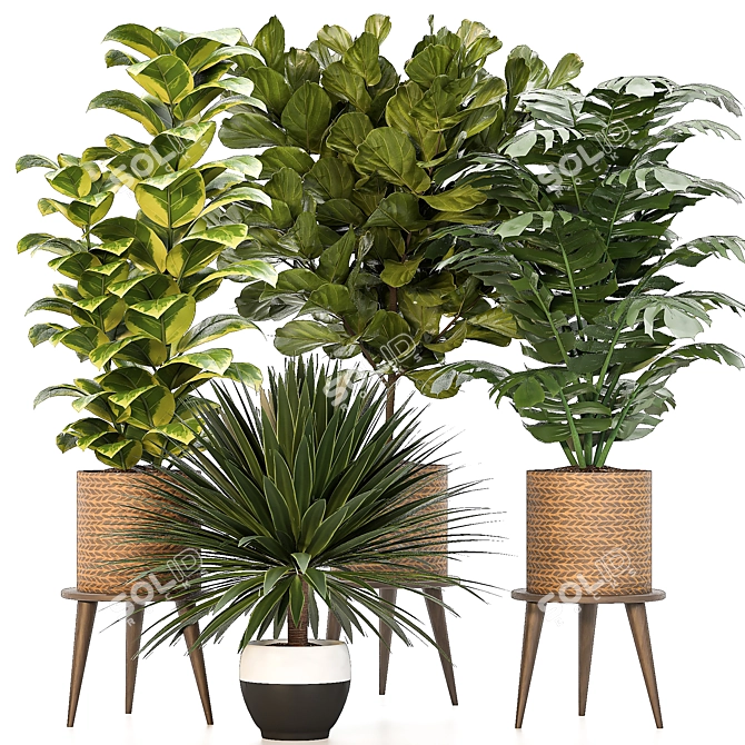 Versatile Indoor Plant Set: 4 Stunning Models 3D model image 1