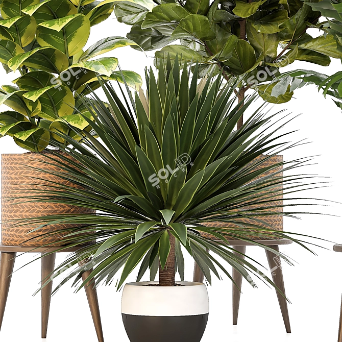 Versatile Indoor Plant Set: 4 Stunning Models 3D model image 4