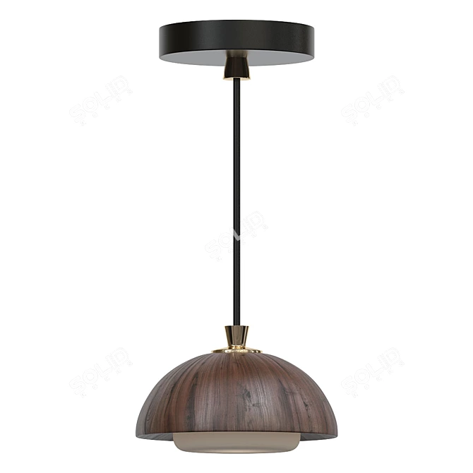 Elegant Designer Pendant Light 3D model image 1