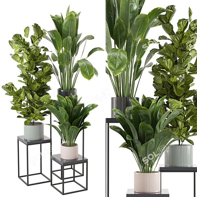 Botanical Bliss: Indoor Plant Collection 3D model image 1