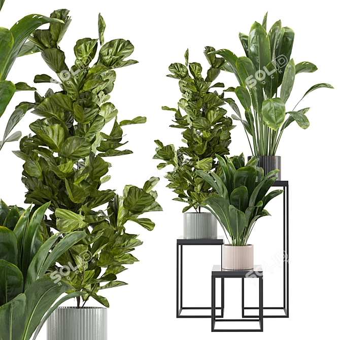 Botanical Bliss: Indoor Plant Collection 3D model image 2