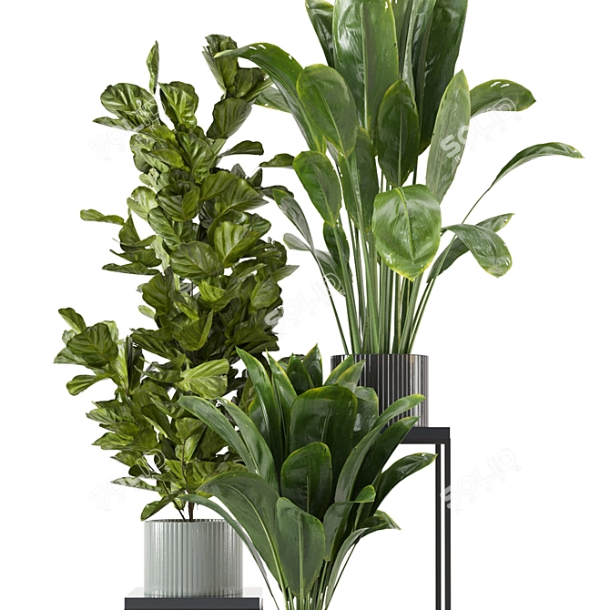 Botanical Bliss: Indoor Plant Collection 3D model image 3