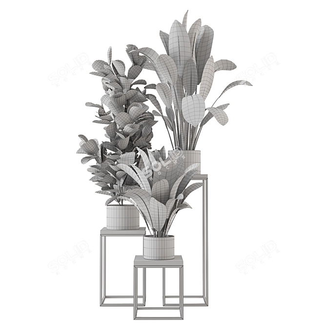 Botanical Bliss: Indoor Plant Collection 3D model image 5