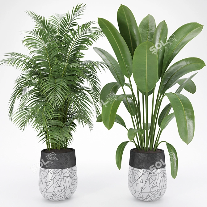 Tropical Garden Plant Set 3D model image 2