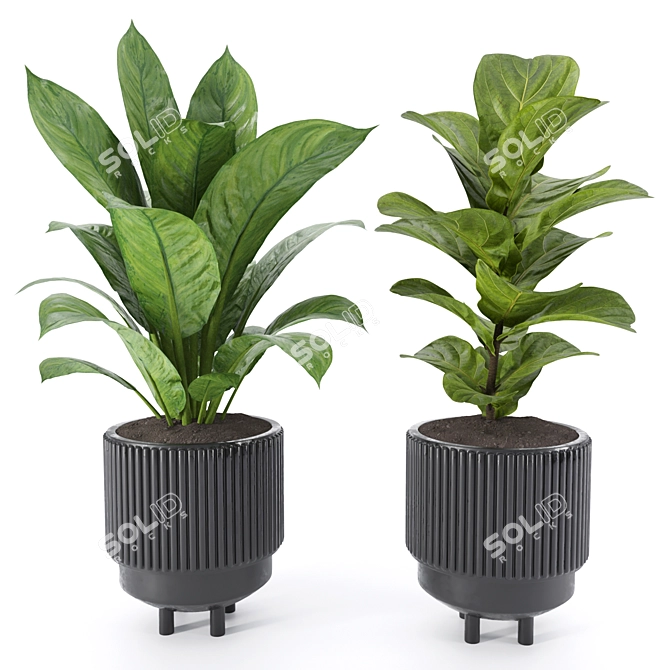 Tropical Garden Plant Set 3D model image 3