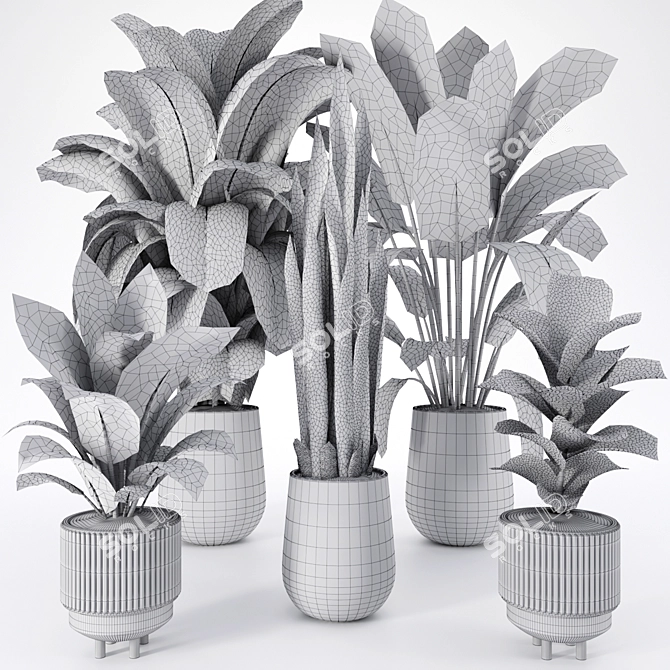 Tropical Garden Plant Set 3D model image 4