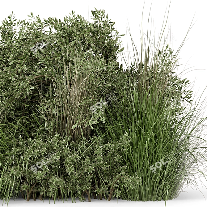 Lush Outdoor Plant Set 492 3D model image 6