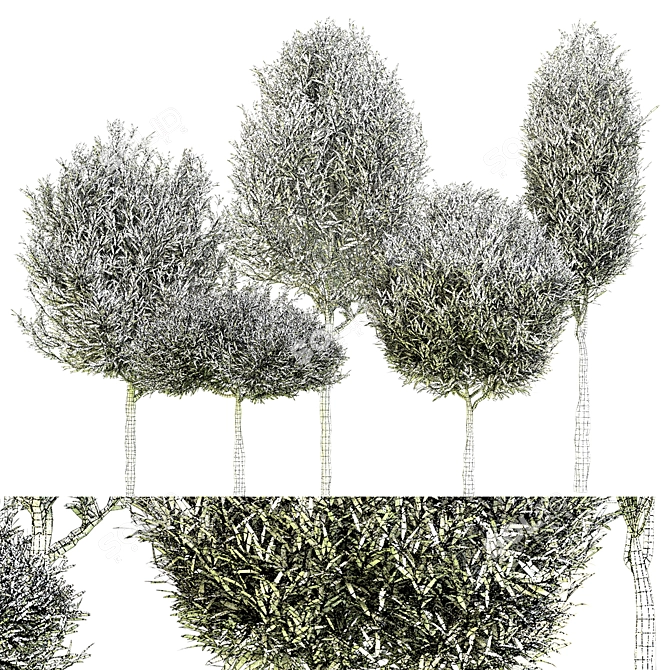 Outdoor Plant Vol. 41 - 2015 Edition 3D model image 2