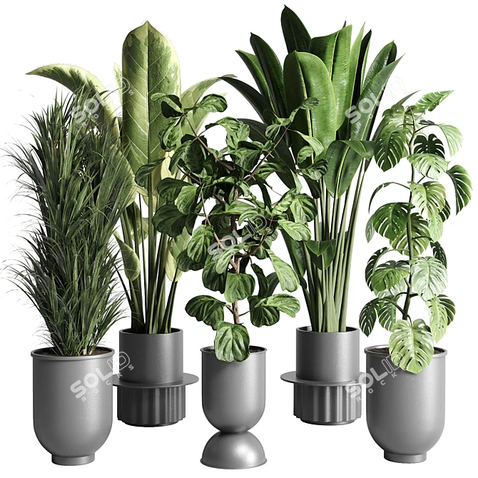 Urban Jungle: Palm, Ficus, & Monstera in Concrete Vase 3D model image 1