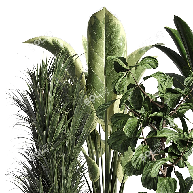 Urban Jungle: Palm, Ficus, & Monstera in Concrete Vase 3D model image 3