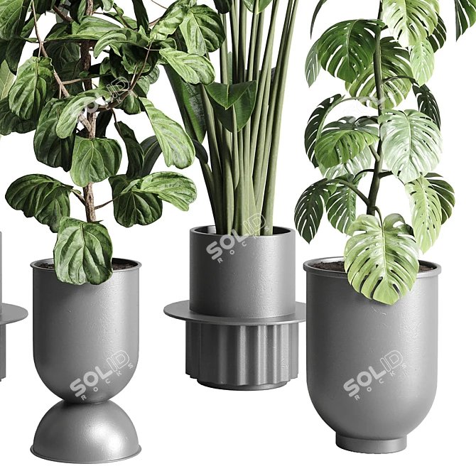 Urban Jungle: Palm, Ficus, & Monstera in Concrete Vase 3D model image 5