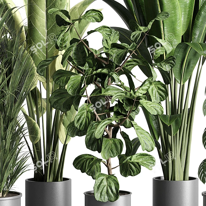 Urban Jungle: Palm, Ficus, & Monstera in Concrete Vase 3D model image 6