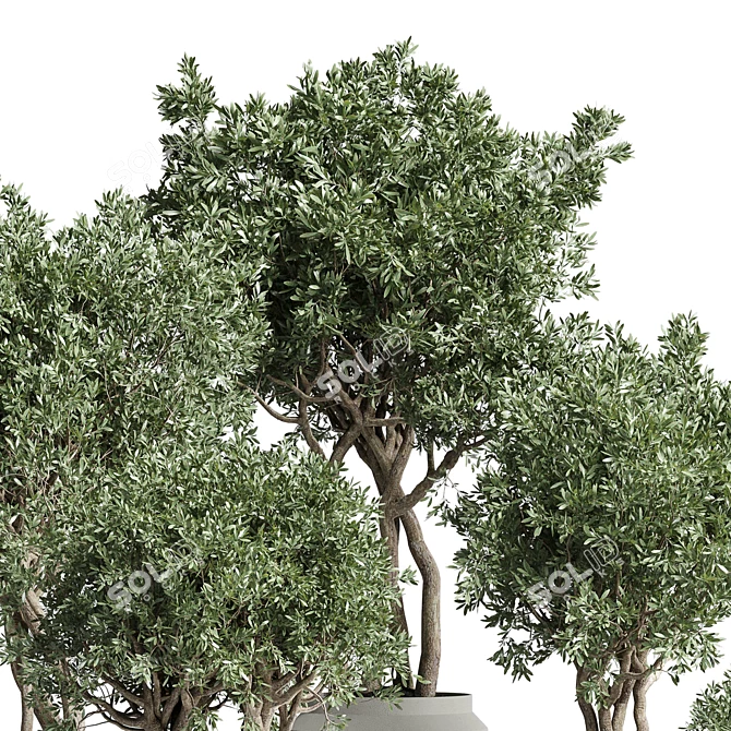 189 Concrete Dirt Vase Pot Tree 3D model image 3