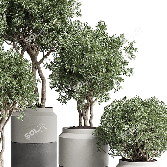 189 Concrete Dirt Vase Pot Tree 3D model image 4