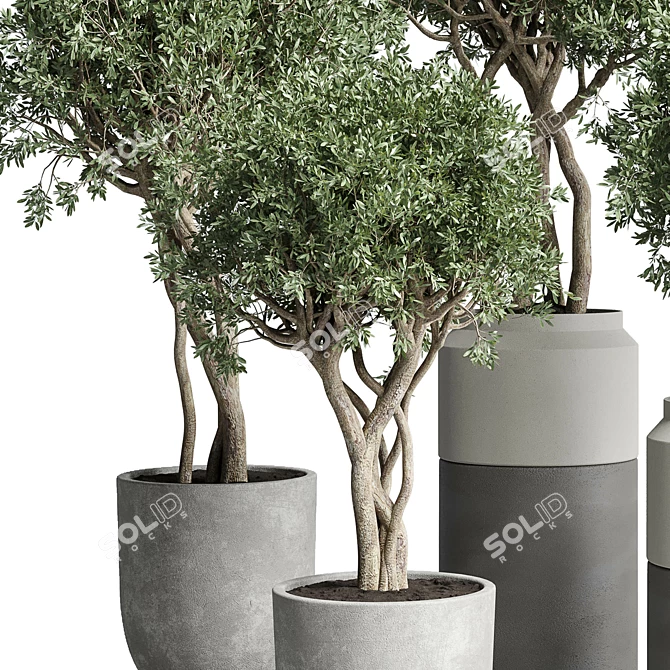 189 Concrete Dirt Vase Pot Tree 3D model image 6