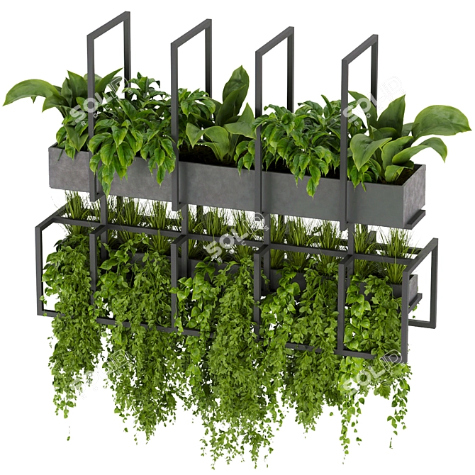 Elegant Hanging Plant Collection 3D model image 1