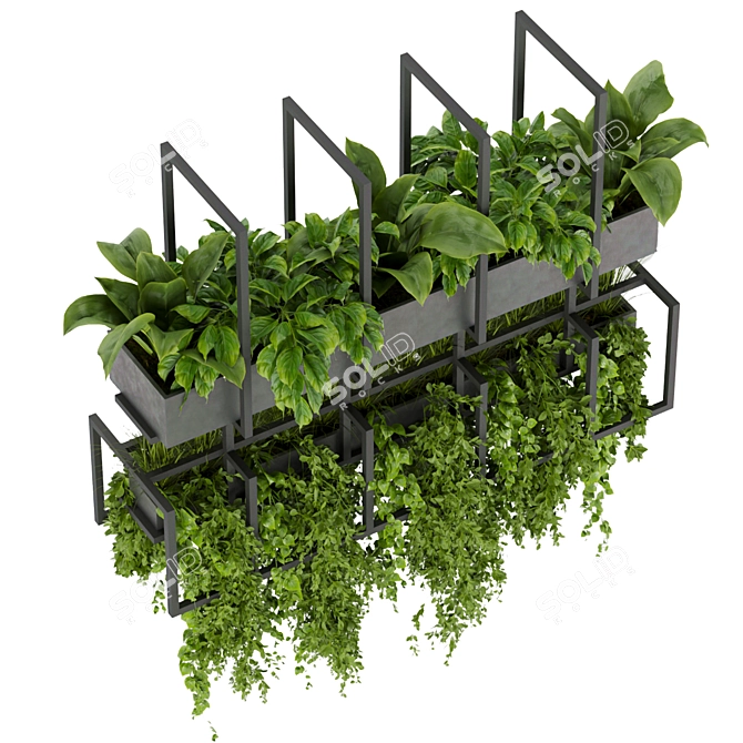 Elegant Hanging Plant Collection 3D model image 4