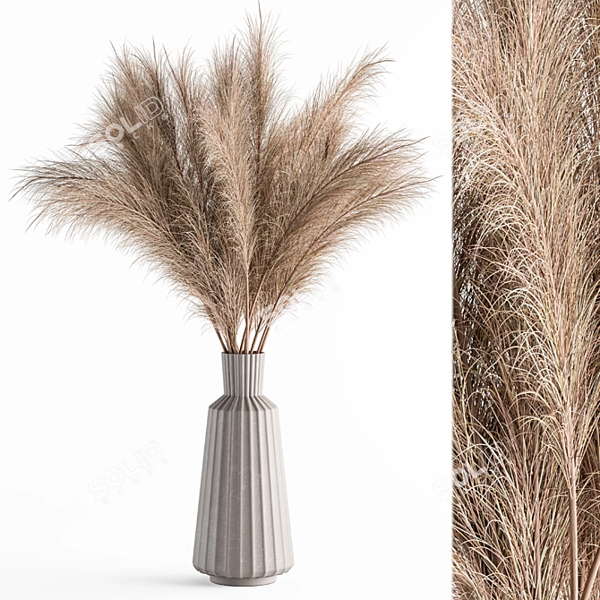 Natural Pampas Grass Bundle Set 3D model image 1