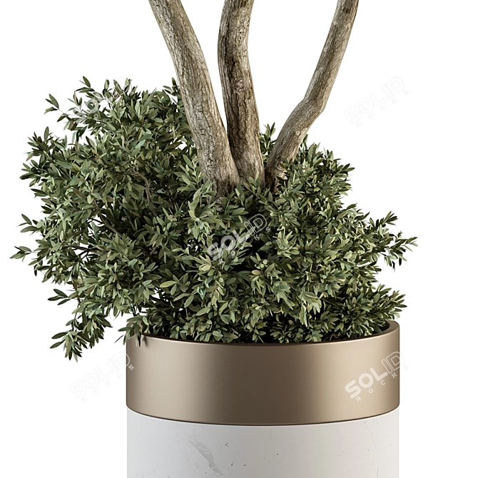 Big Pot Plant Set: Outdoor Beauty 3D model image 3