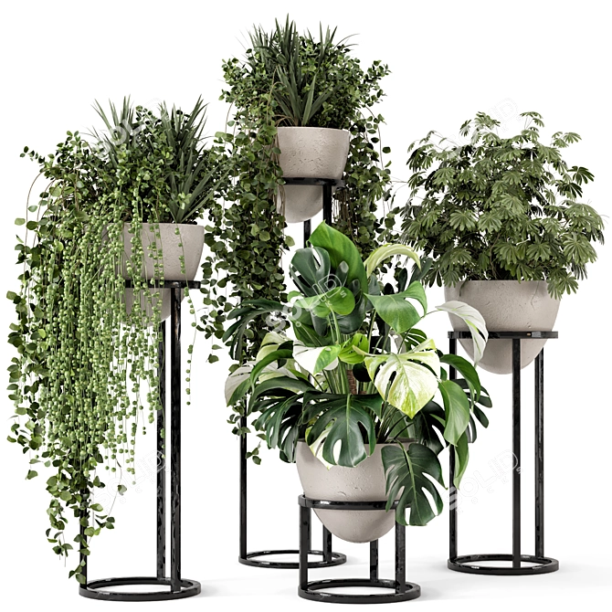 Rustic Concrete Pot Shelf Set with Indoor Plants 3D model image 1