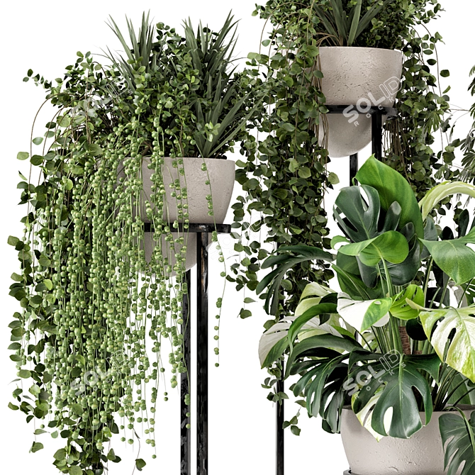 Rustic Concrete Pot Shelf Set with Indoor Plants 3D model image 2