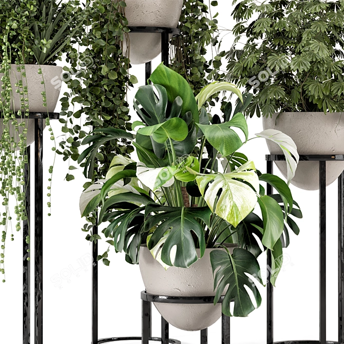 Rustic Concrete Pot Shelf Set with Indoor Plants 3D model image 3