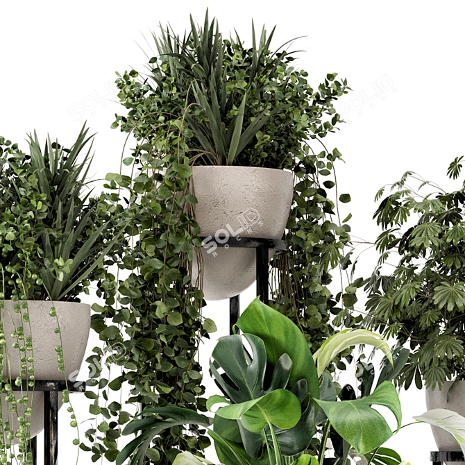 Rustic Concrete Pot Shelf Set with Indoor Plants 3D model image 5