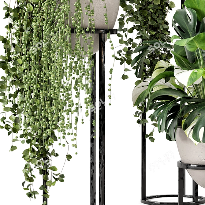 Rustic Concrete Pot Shelf Set with Indoor Plants 3D model image 6