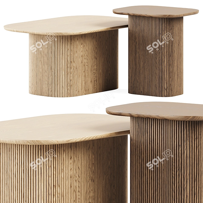 Modern Tamula Coffee Tables Set 3D model image 1