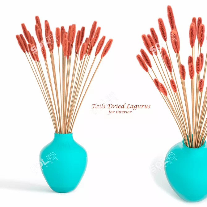 Title: Whimsical Lagurus Tails 3D model image 1