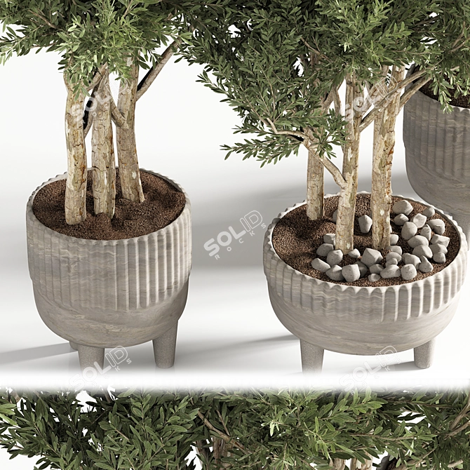 Modern Indoor Plant Decor 3D model image 2