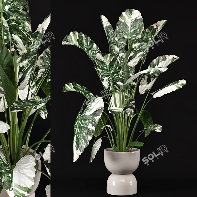 Rusty Concrete Pot Indoor Plants 3D model image 1