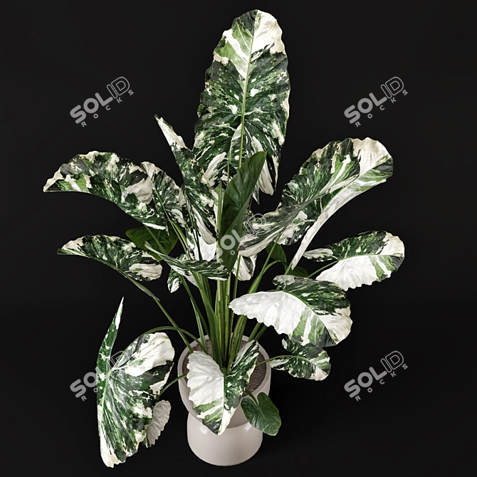 Rusty Concrete Pot Indoor Plants 3D model image 3