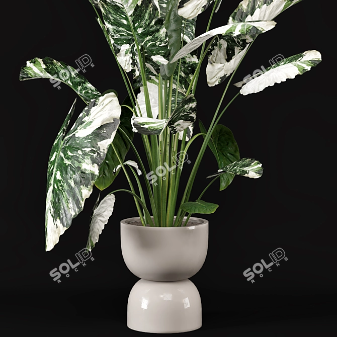 Rusty Concrete Pot Indoor Plants 3D model image 4