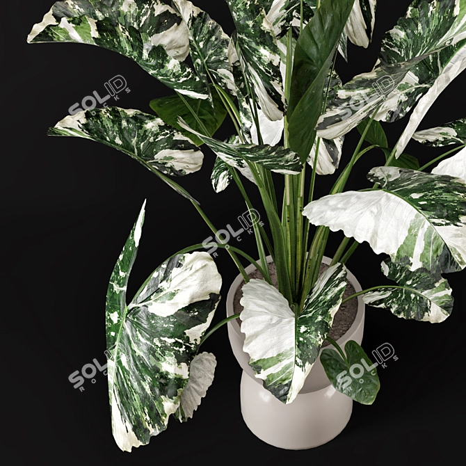 Rusty Concrete Pot Indoor Plants 3D model image 6