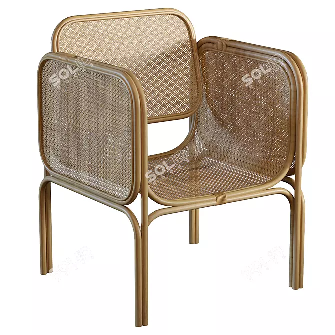 Spartacus Rattan Graceful Armchair 3D model image 1