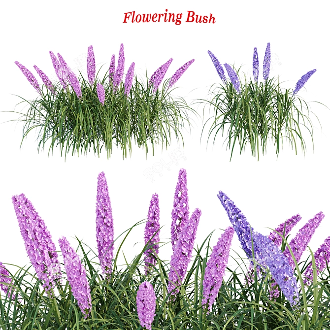 Flowering Bush Collection: Outdoor Beauty 3D model image 1