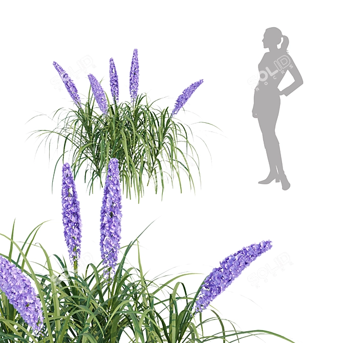 Flowering Bush Collection: Outdoor Beauty 3D model image 3