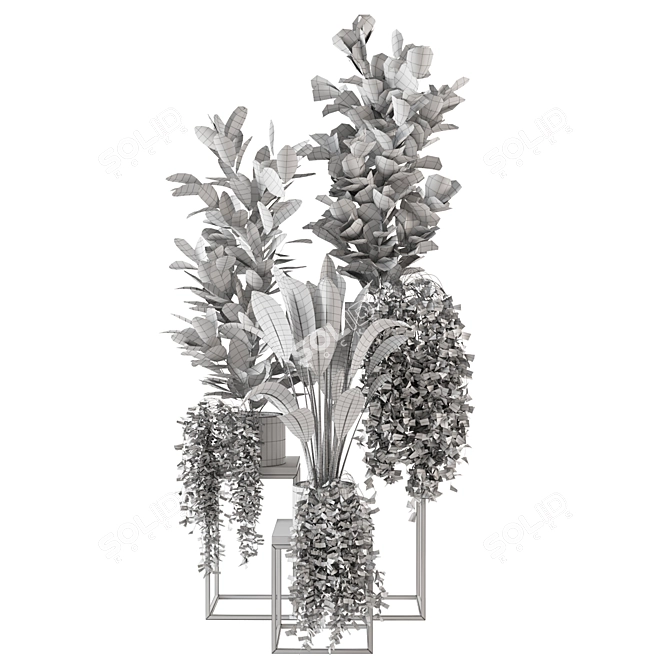 Tropical Indoor Plants Collection 3D model image 5