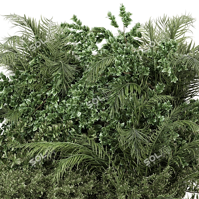 Outdoor Plants Bush Set 3D model image 2